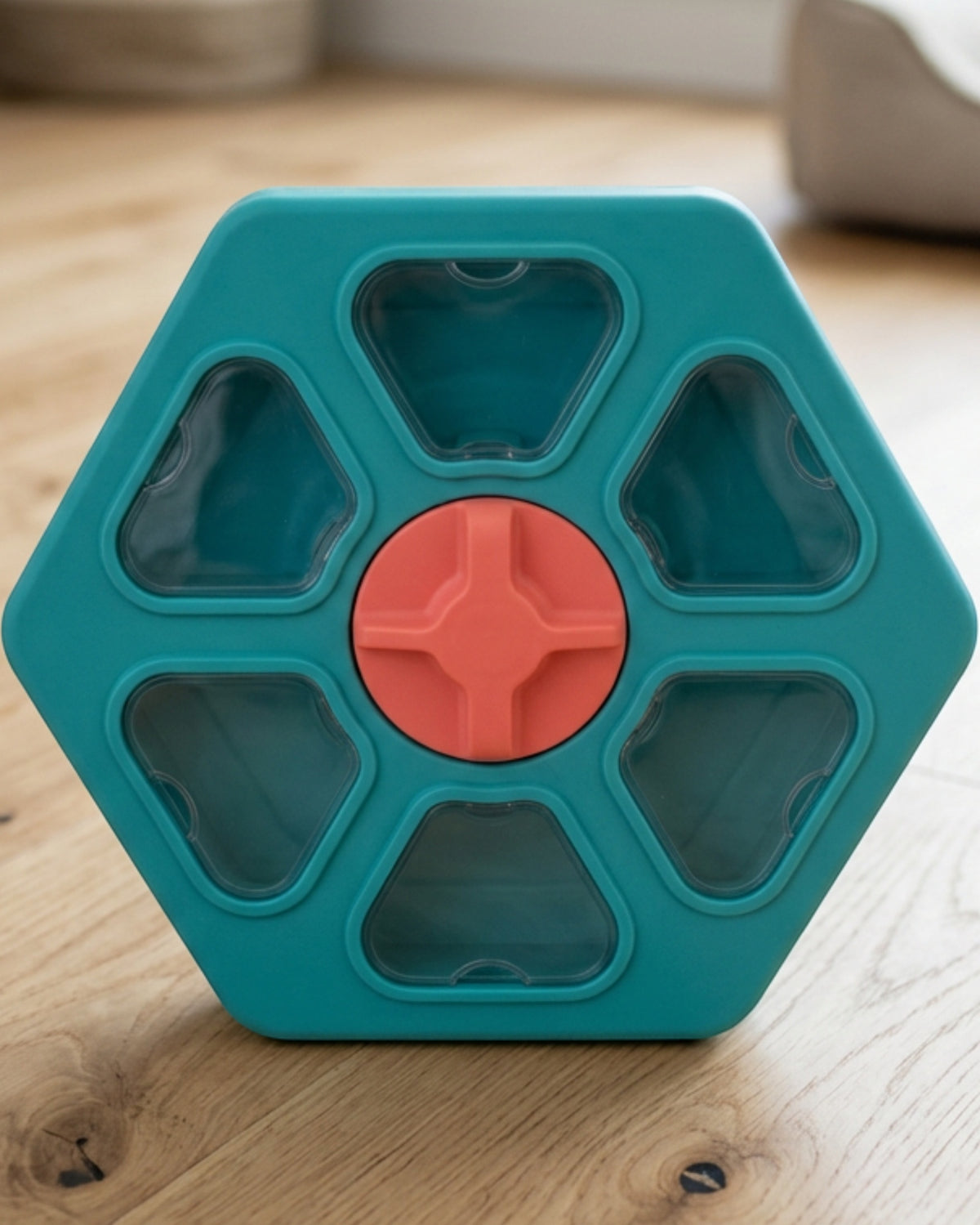 Pudva Hexagonal TPR Treat Puzzle Wheel with 6 Chambers 18 cm Teal Coral - Lifestyle view